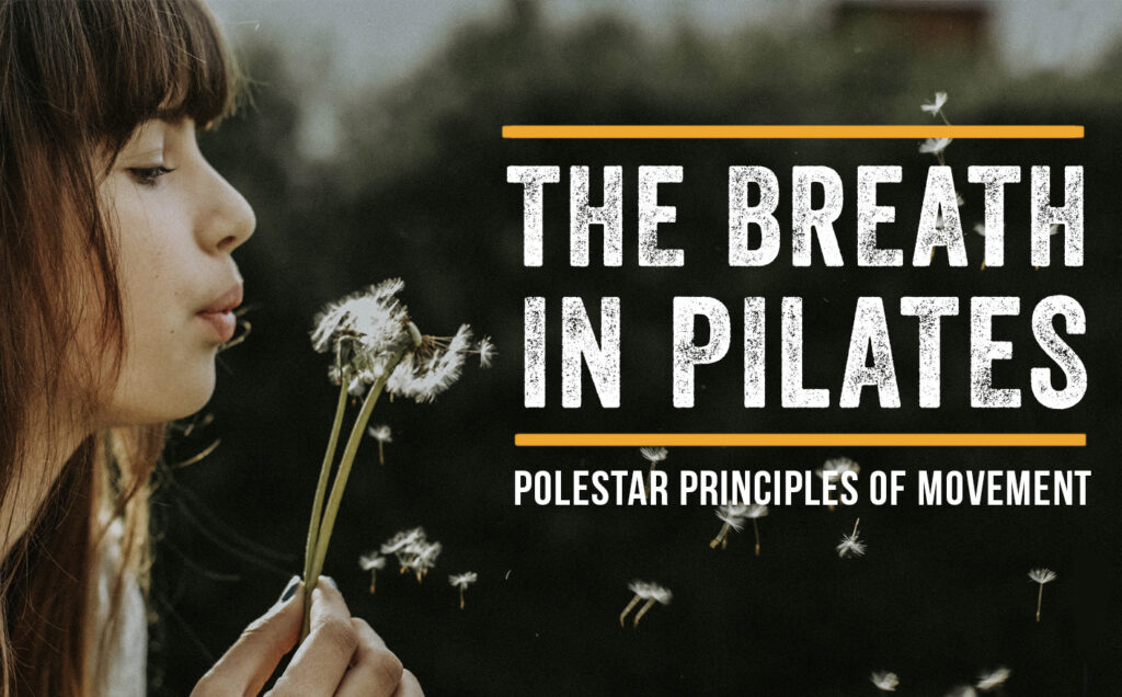 The Power Of The Breath In Pilates Pilates Teacher Training Polestar Pilates 